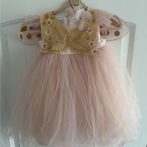 Pottery Barn Fairy Costume Pink and Gold Tulle with Floral Accents and wings